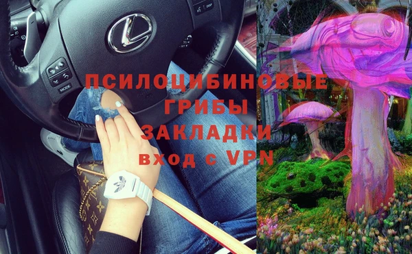 apvp Алзамай