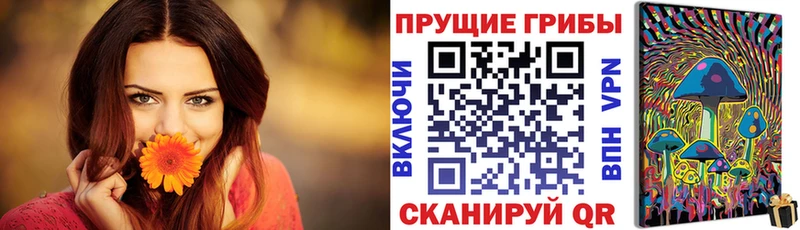 Купить  Суздаль  Галлюциногенные грибы Cubensis 