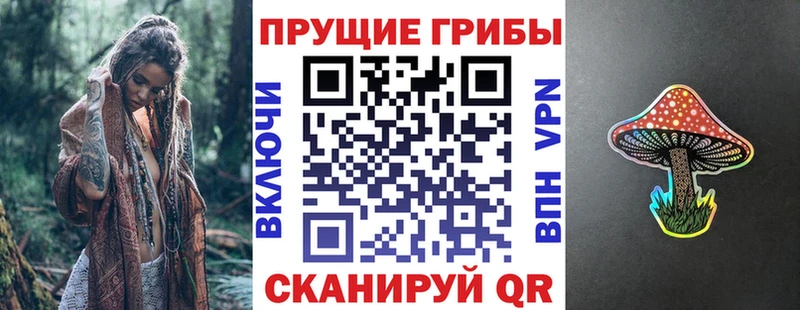 Галлюциногенные грибы Psilocybine cubensis Суздаль
